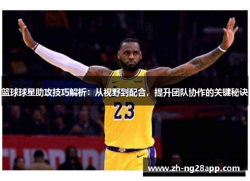 篮球球星助攻技巧解析：从视野到配合，提升团队协作的关键秘诀