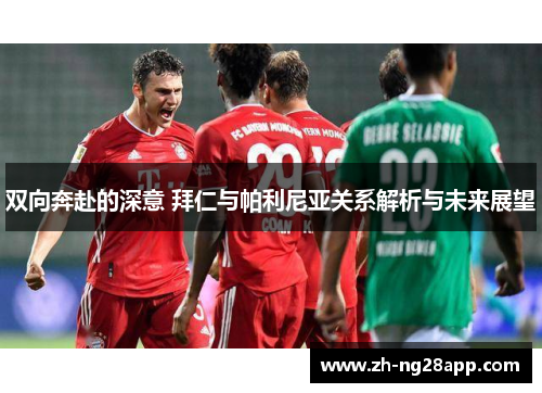 双向奔赴的深意 拜仁与帕利尼亚关系解析与未来展望