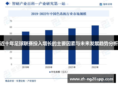 近十年足球联赛投入增长的主要因素与未来发展趋势分析