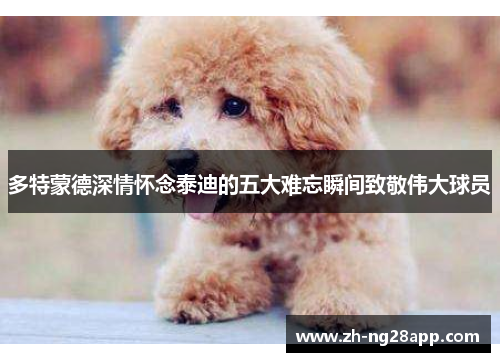 多特蒙德深情怀念泰迪的五大难忘瞬间致敬伟大球员