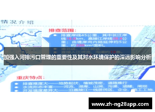 加强入河排污口管理的重要性及其对水环境保护的深远影响分析