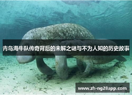 青岛海牛队传奇背后的未解之谜与不为人知的历史故事